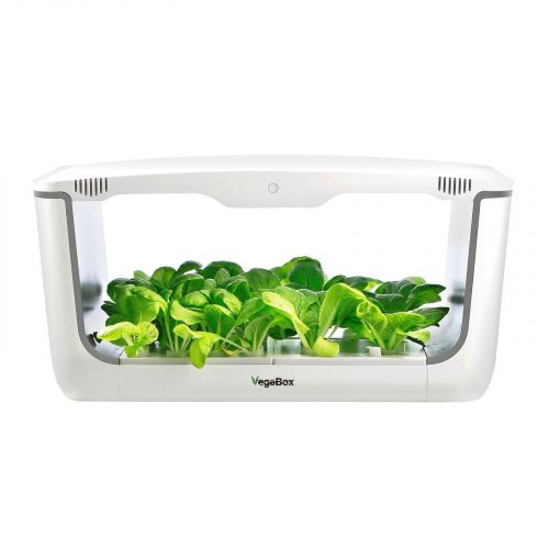 VegeBox Home With Greens