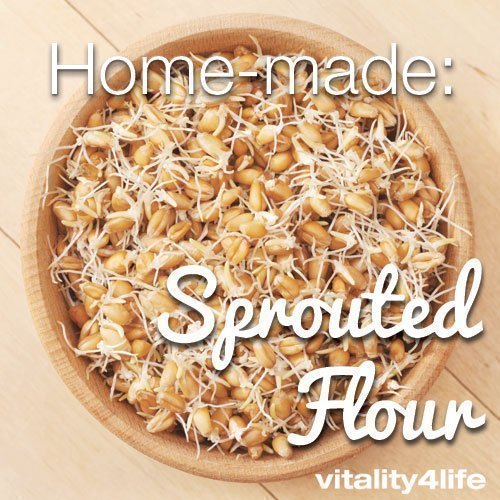 Homemade Sprouted Flour