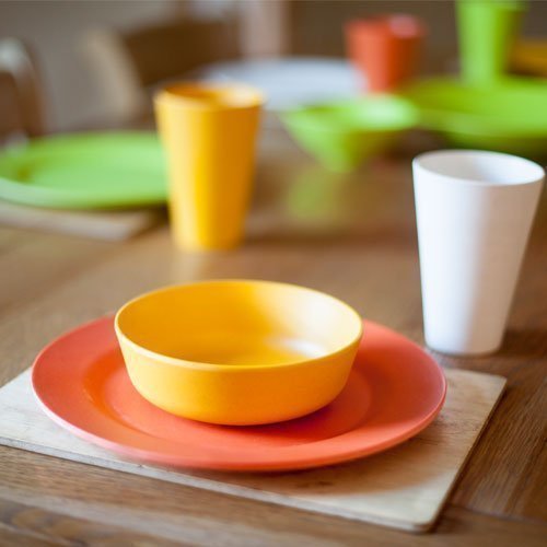 Why buy Eco Friendly Dining Ware?