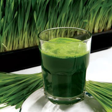 The Benefits of Wheatgrass Juice