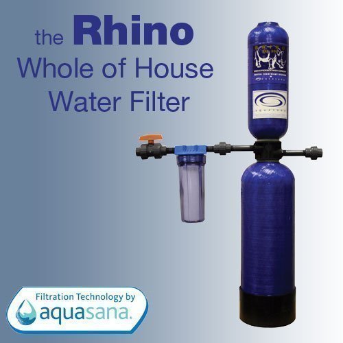 Whole House Water Filter Chlorine Reduction Test