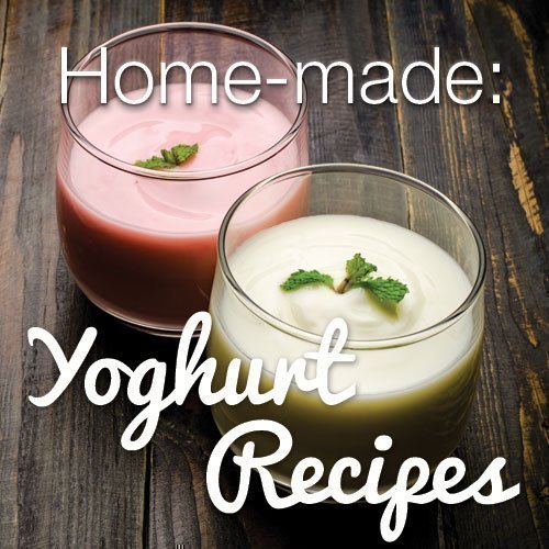 Homemade Yoghurt Recipe