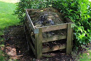 Compost Heap