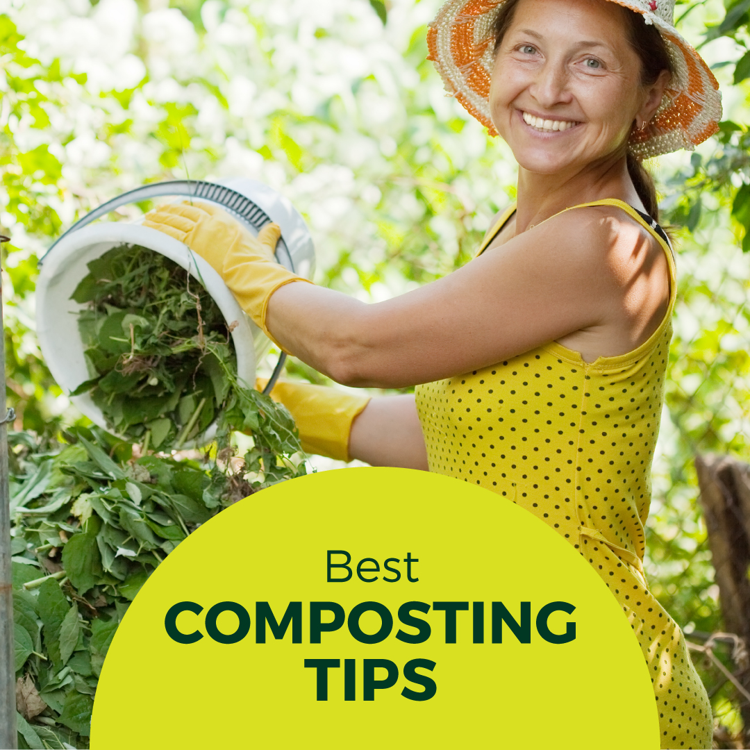 How to Compost: Helpful Tips on Turning Your Waste into Brown Gold