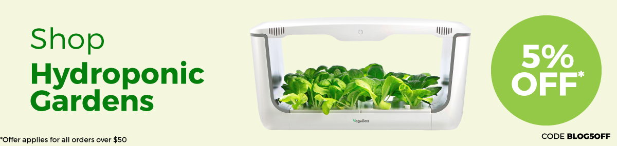 VegeBox - not just for greens