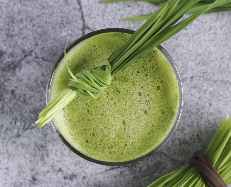 Frequently asked questions about Wheatgrass Juice