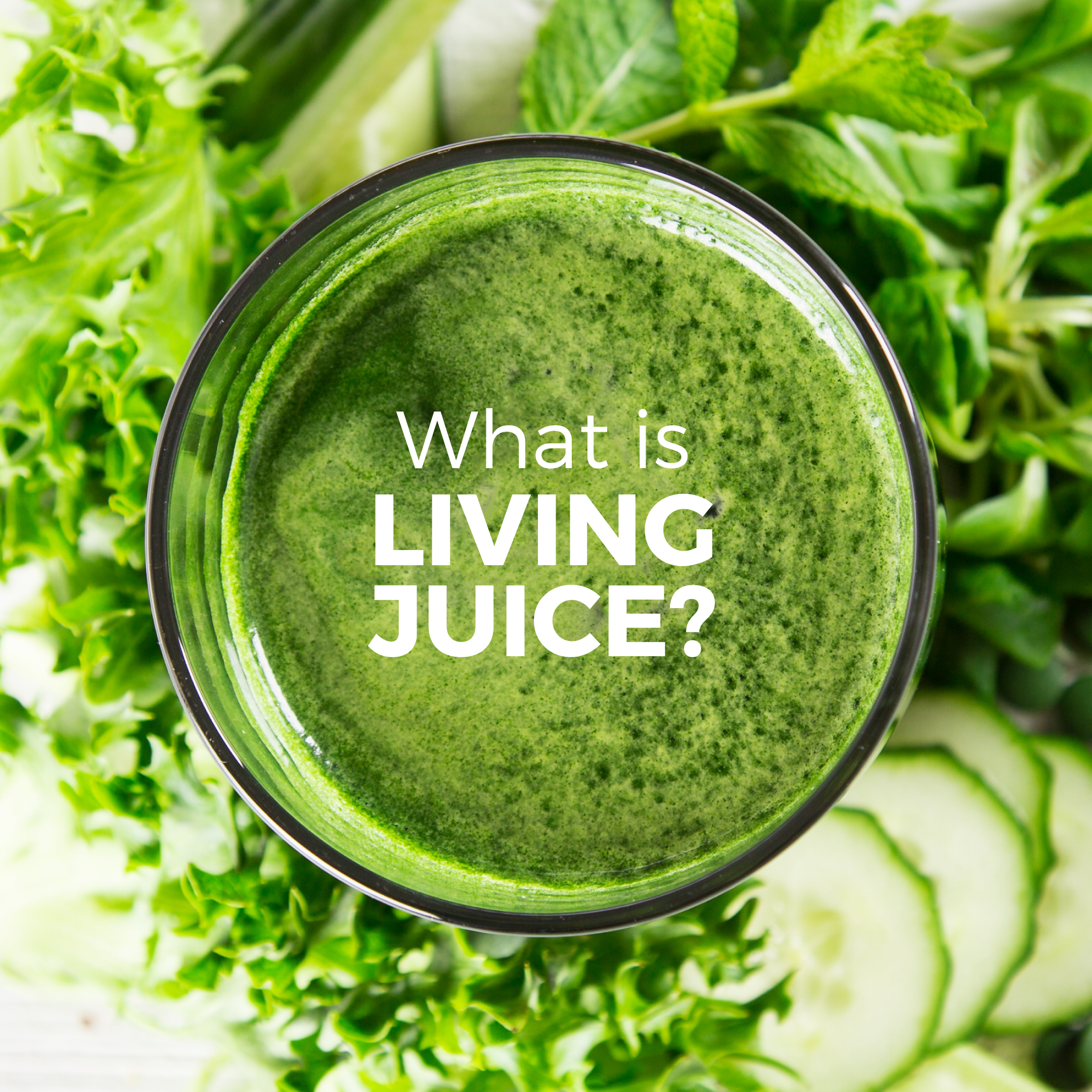 What is Living Juice?