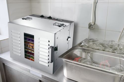 BioChef Premium 10T S/Steel Food Dehydrator Kitchen